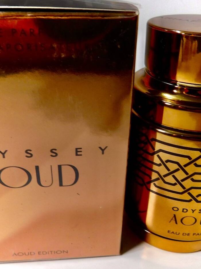 ODYSSEY OUD LIKE OMBRE LEATHER